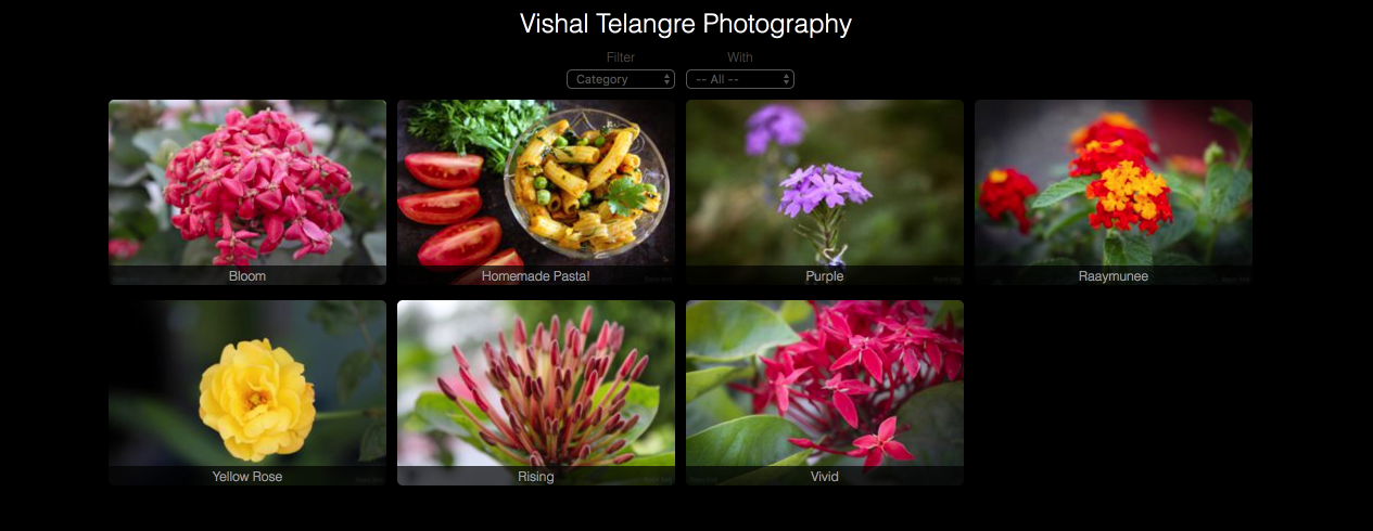 Static Gallery gallery image