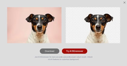 Remove.bg Background Remover gallery image