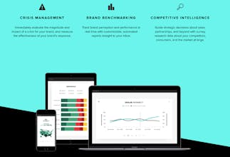 Brand Intelligence gallery image