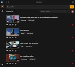 VidArchive gallery image