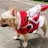 Santa costume for dogs