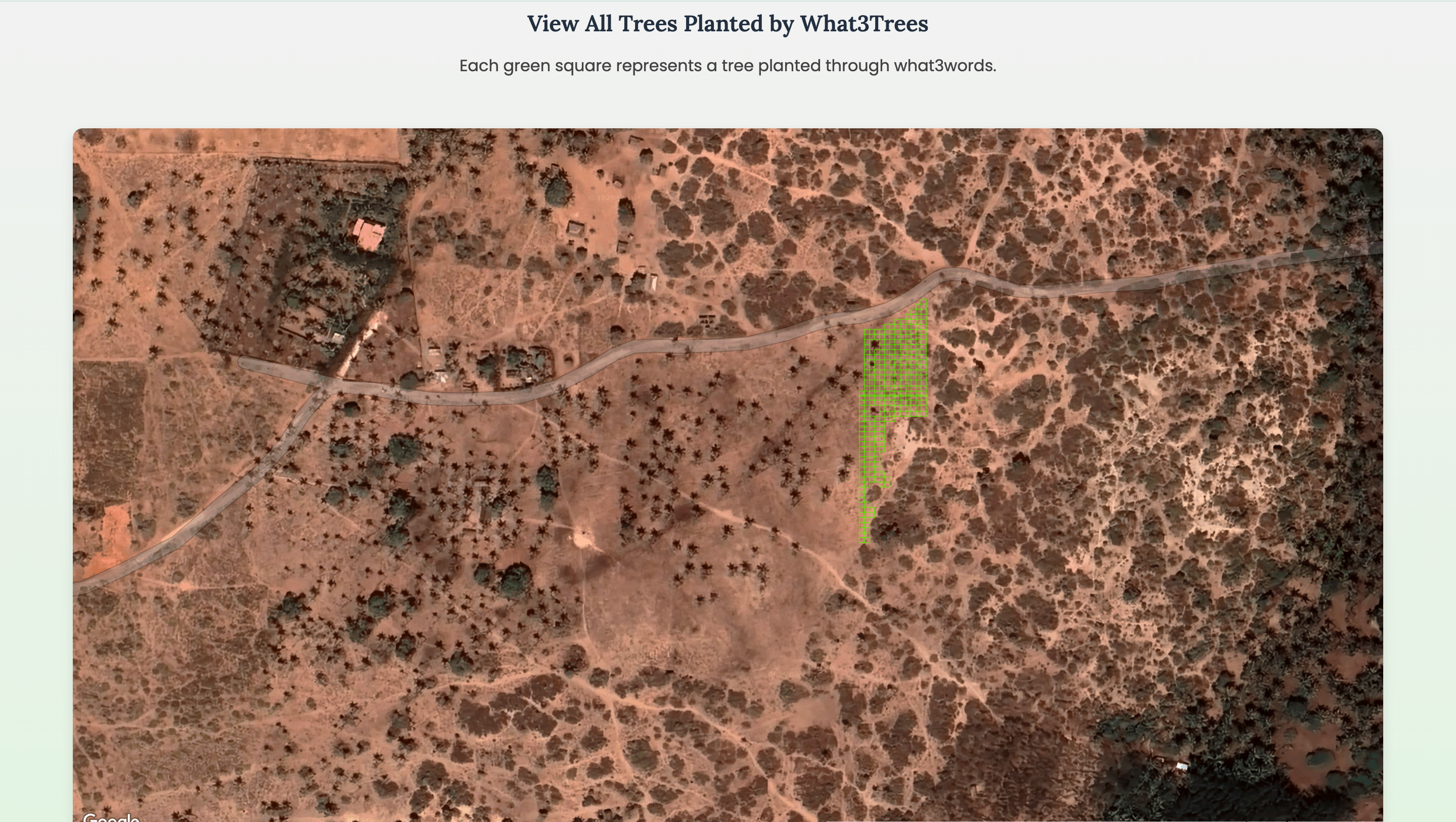 What3Trees — Watch your Tree Grow - Verifiability Where it Counts media 2