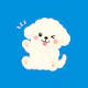 cre8pet