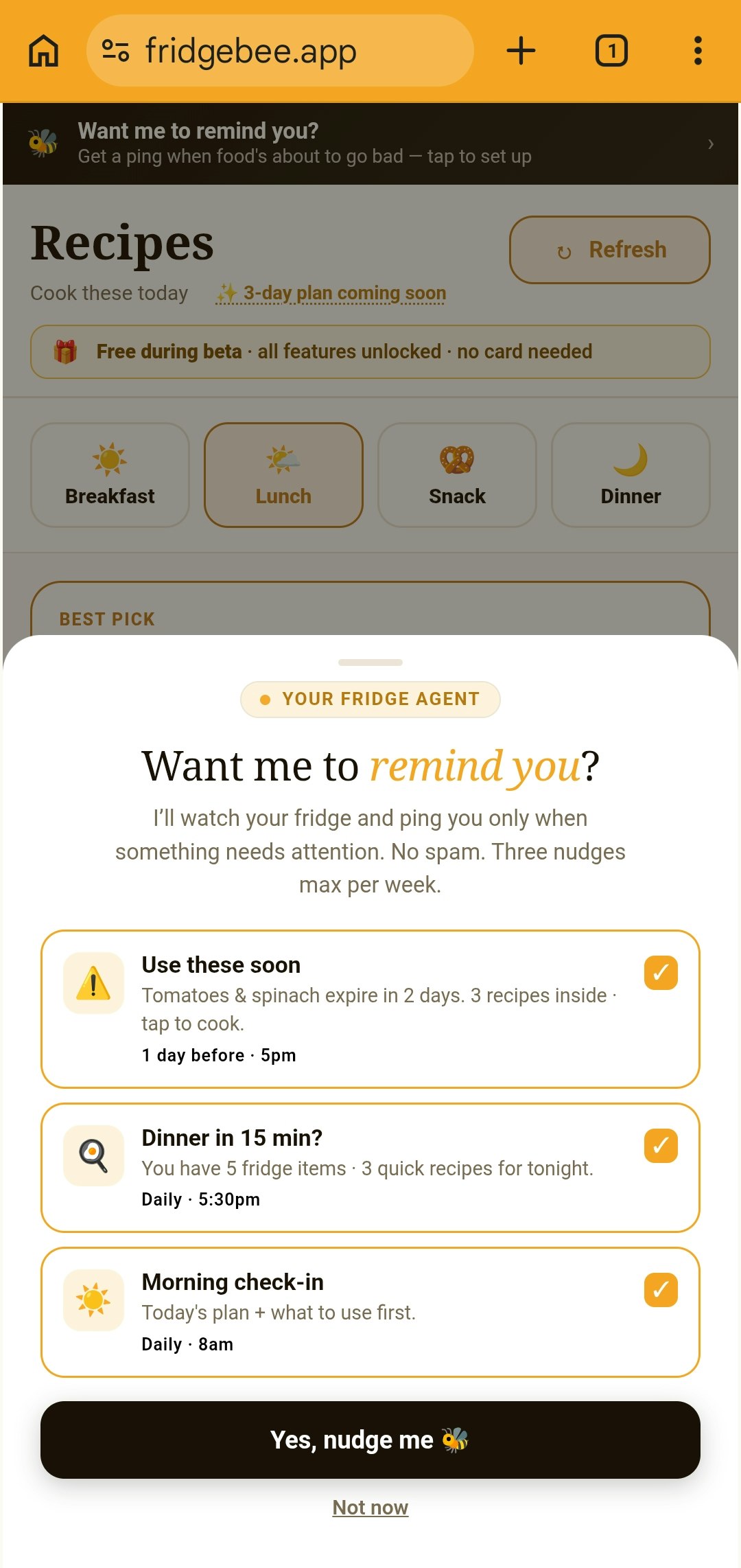 fridgeBee gallery image