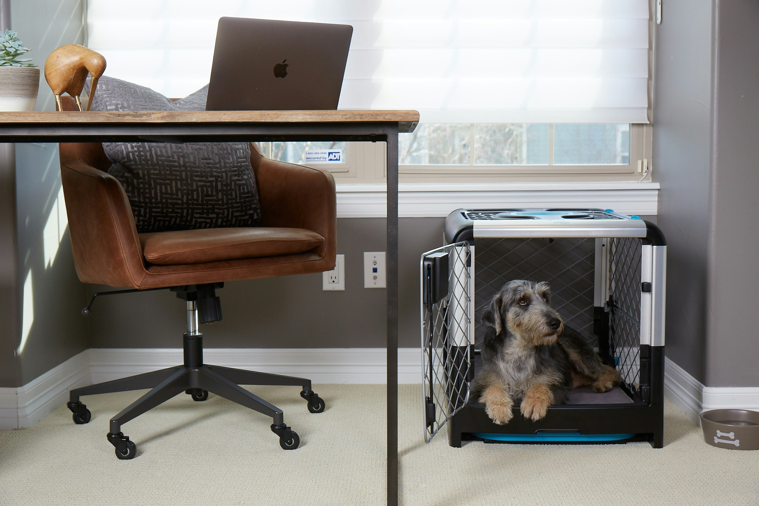 Revol Dog Crate + Snooz Pad: A Dog Crate Revolution gallery image