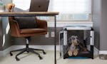 Revol Dog Crate + Snooz Pad: A Dog Crate Revolution image