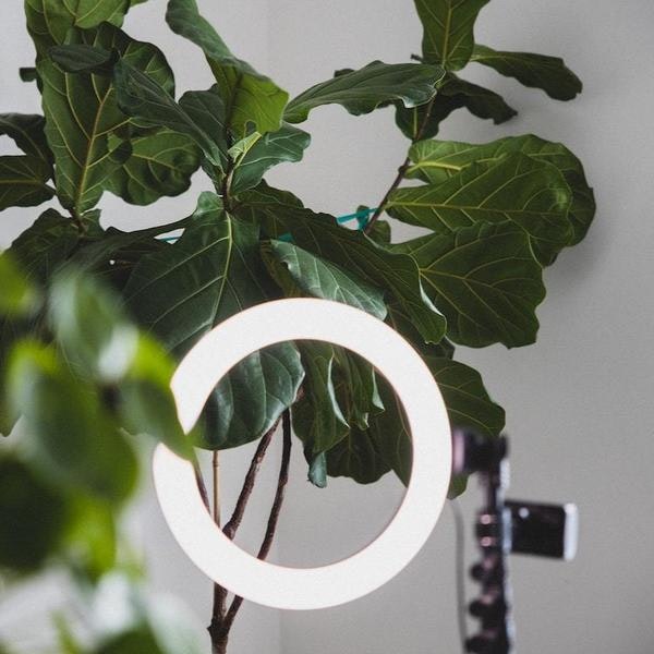 The WFH Store gallery image