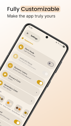 Larvel Player: Music player - Screenshot 3 showing product features and functionality