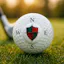 Golf Compass