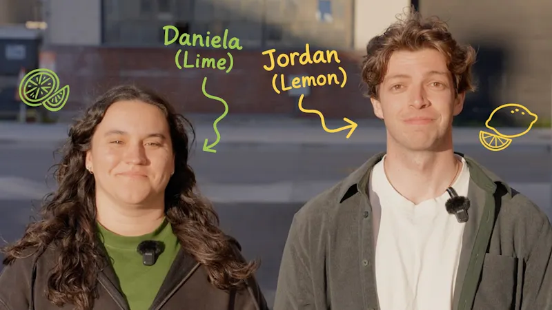 LemonLime screenshot 1 (video preview)