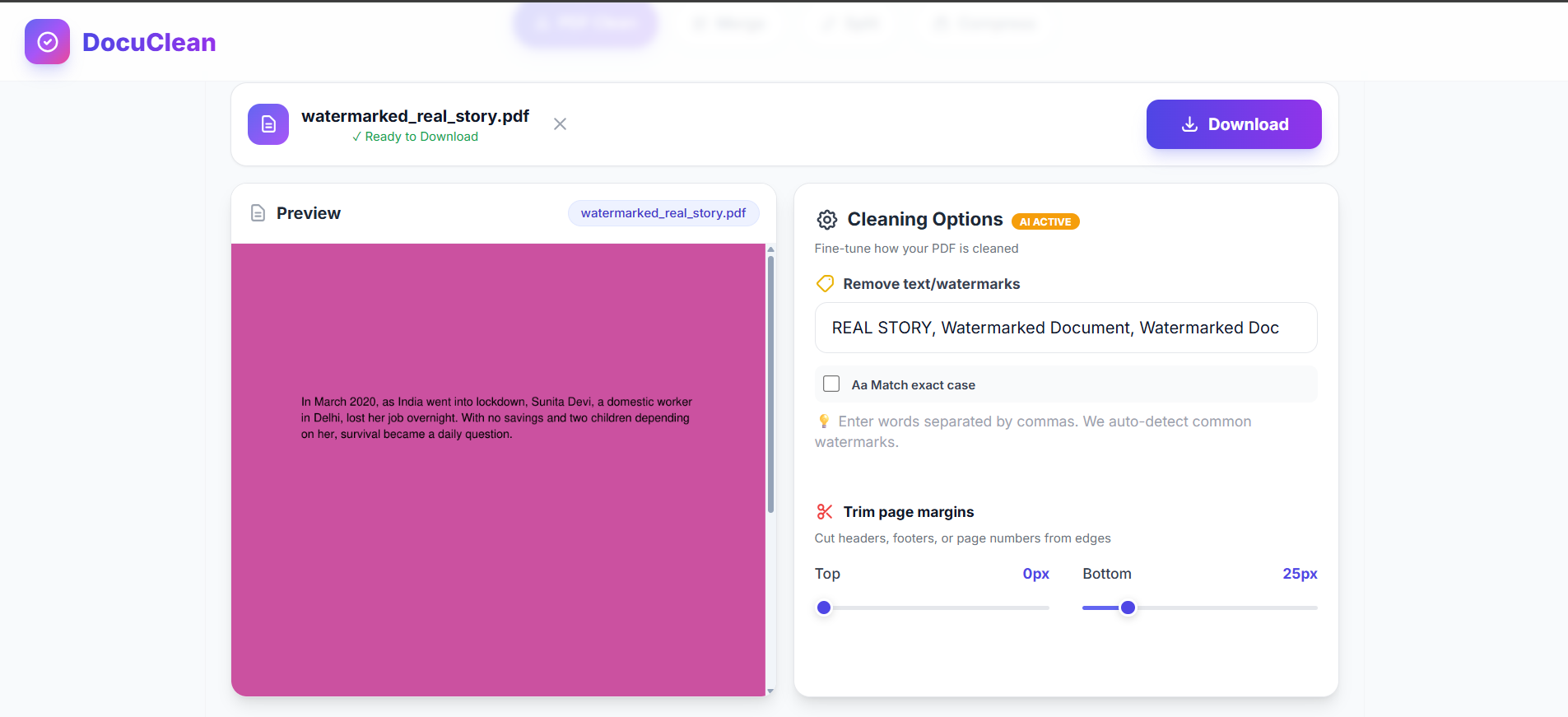 DocuClean - Screenshot 3 showing product features and functionality