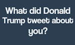 What did Donald Trump Tweet about you? image