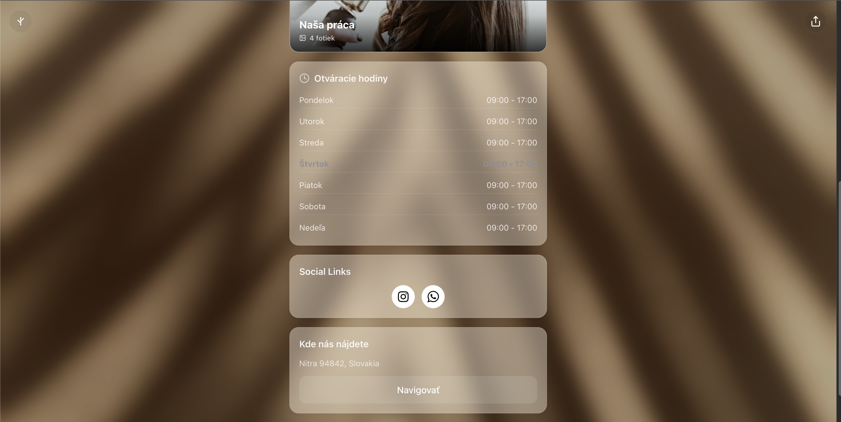 BizTree gallery image