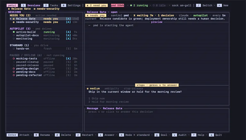 pmtui screenshot 1
