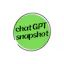 chatGPT snapshot