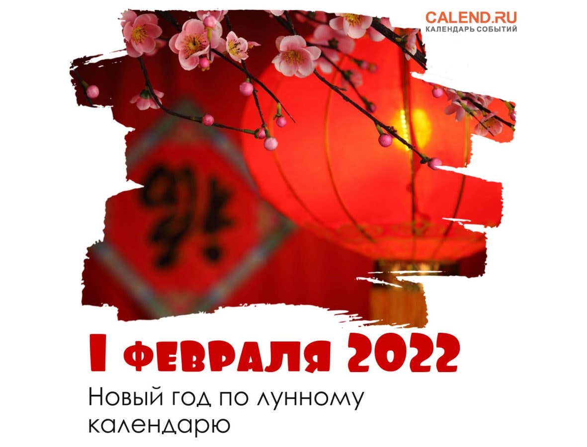 Testo  gallery image