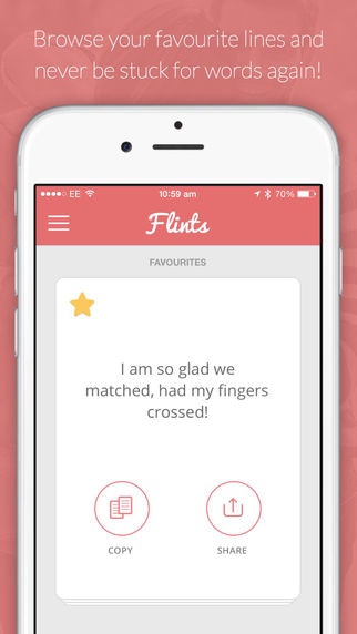 Flints gallery image