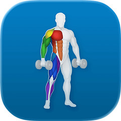 VigiGym — Workout Tracker