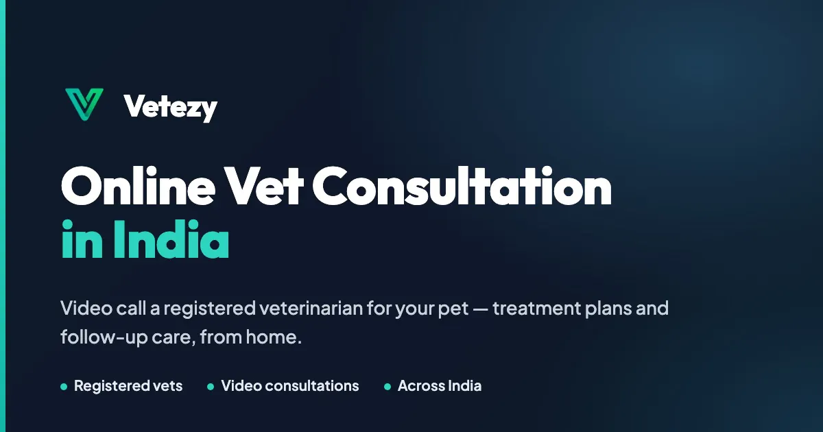 Vetezy gallery image