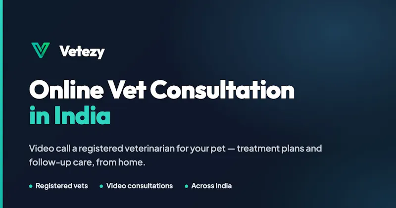 Vetezy screenshot 1
