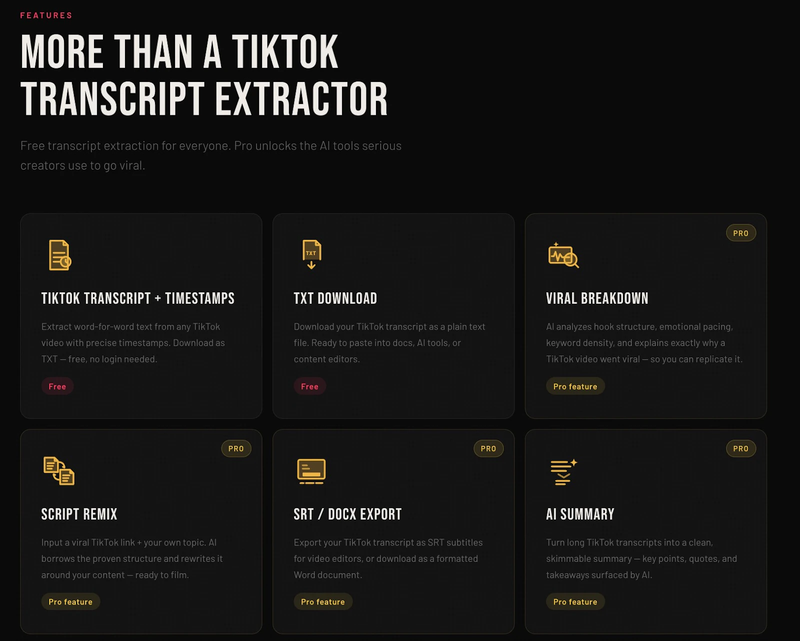 TokTranscript screenshot 4