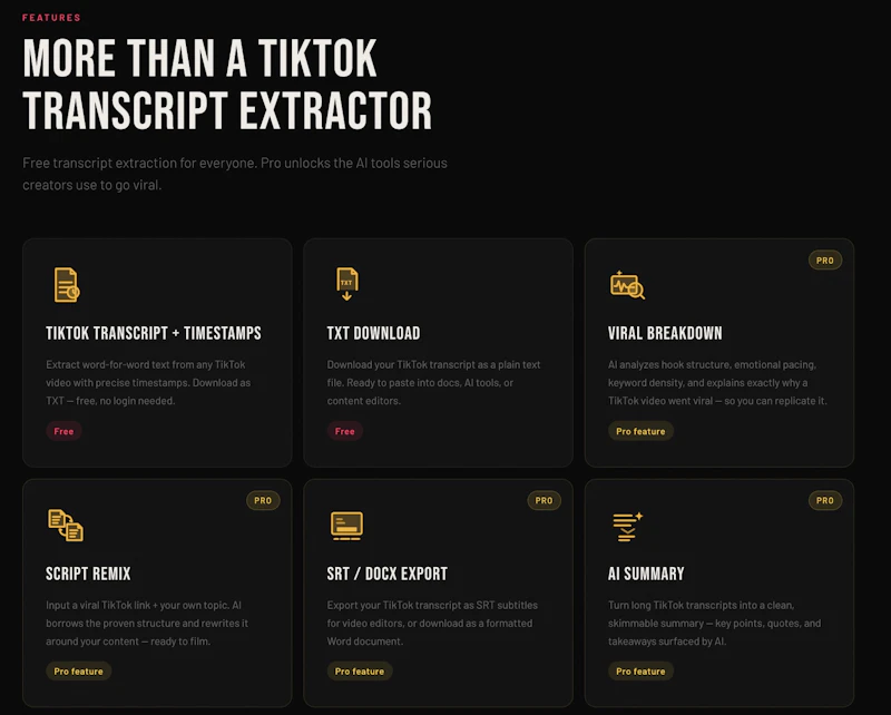TokTranscript screenshot 4