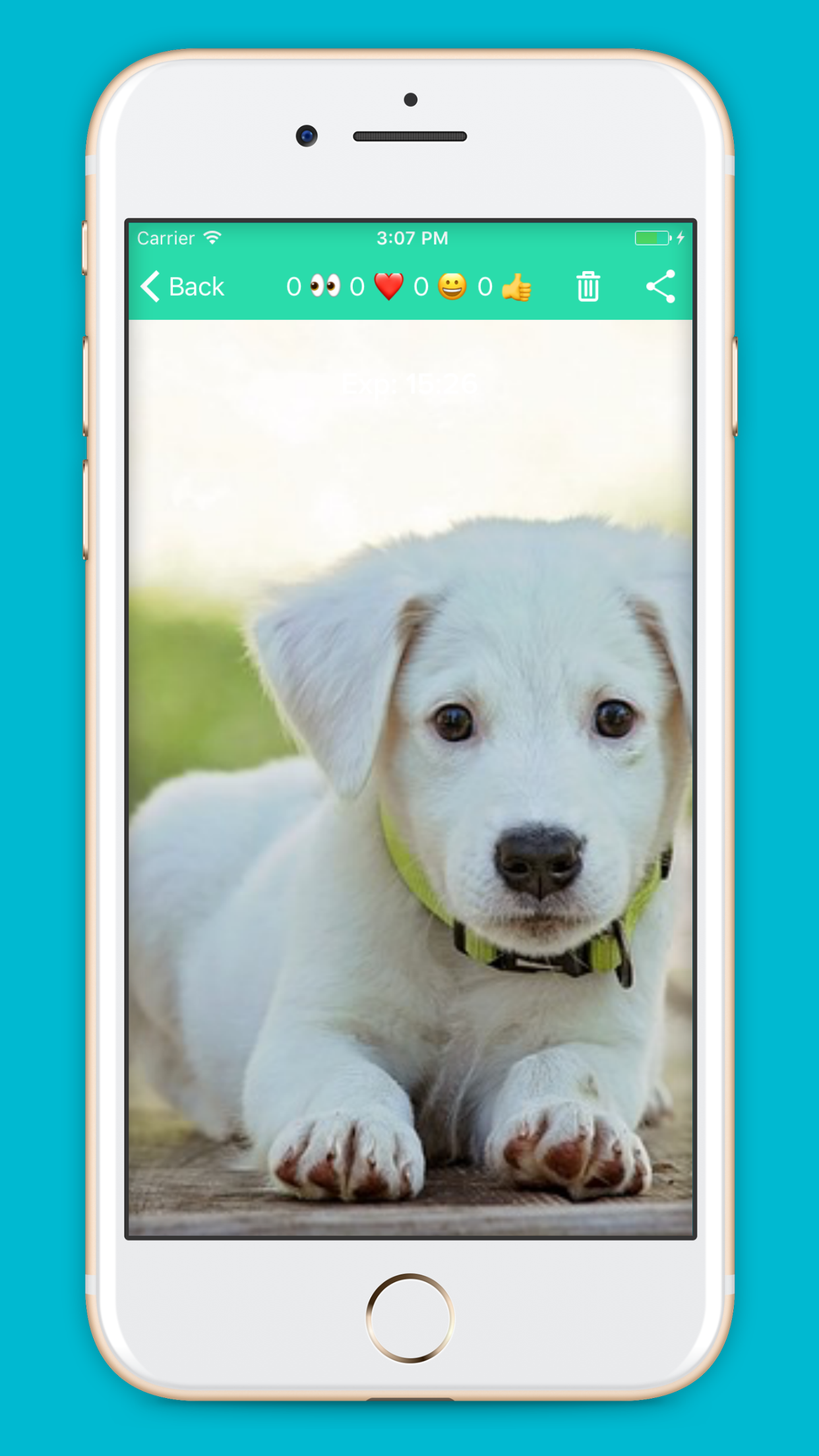 ebblink gallery image