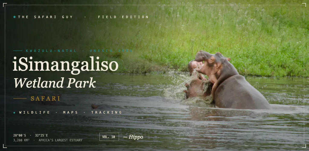 The Safari Guy gallery image