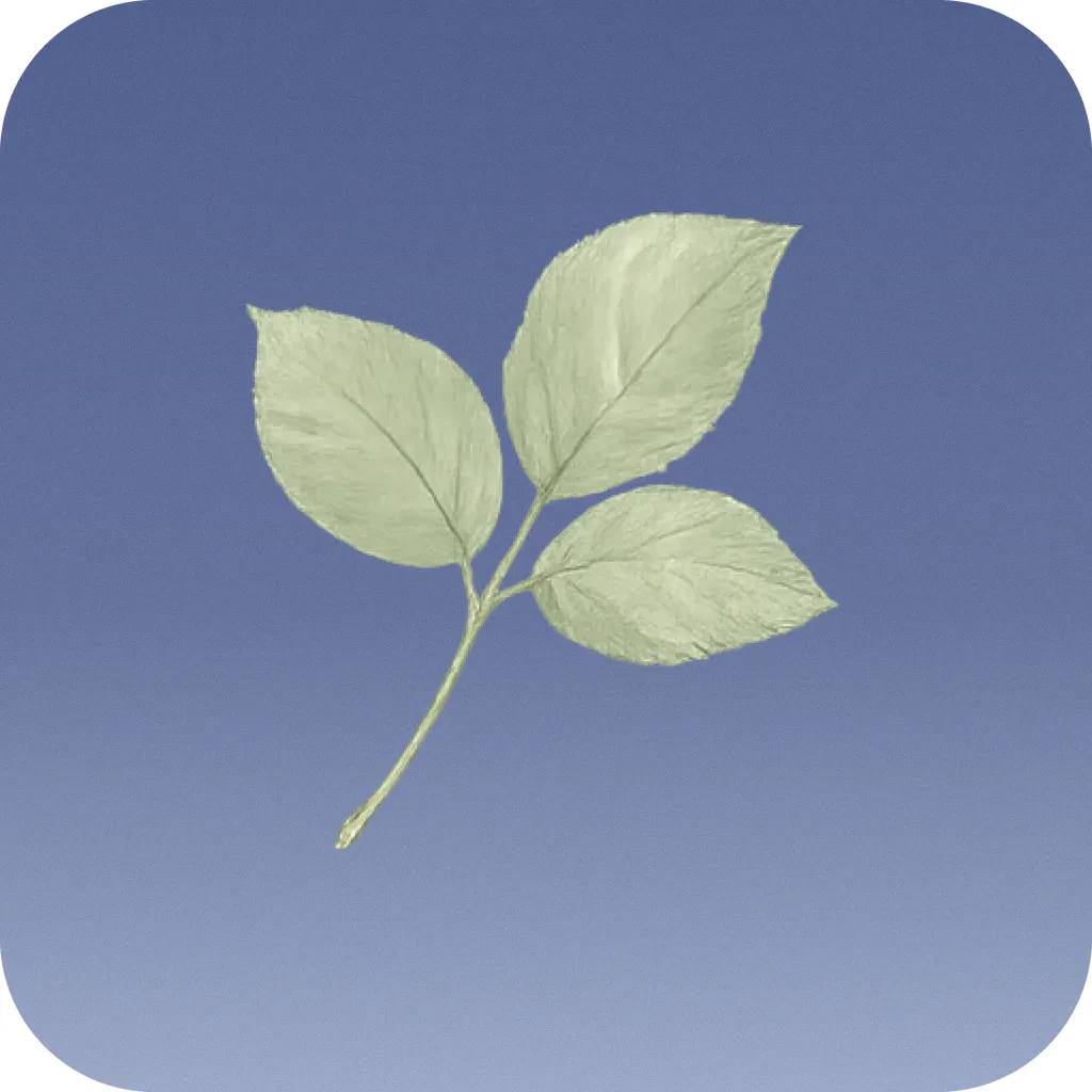 Joice: Journal by Conversations