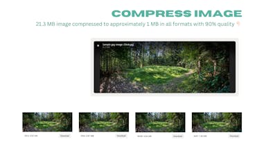 Image Compressor gallery image