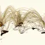 Academic Torrents