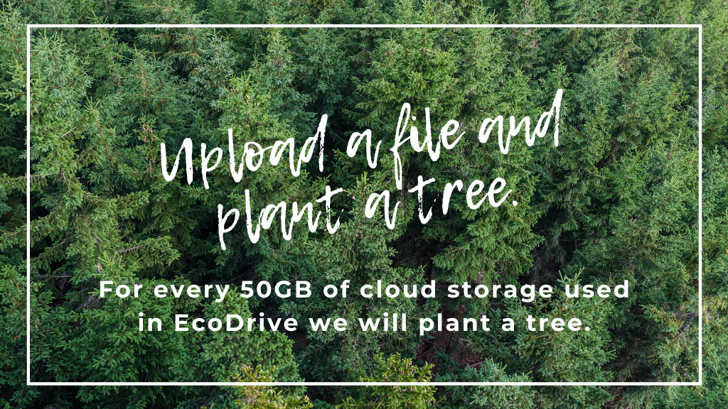 EcoDrive, A new home for your files. gallery image