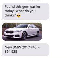 Frankie's gallery image