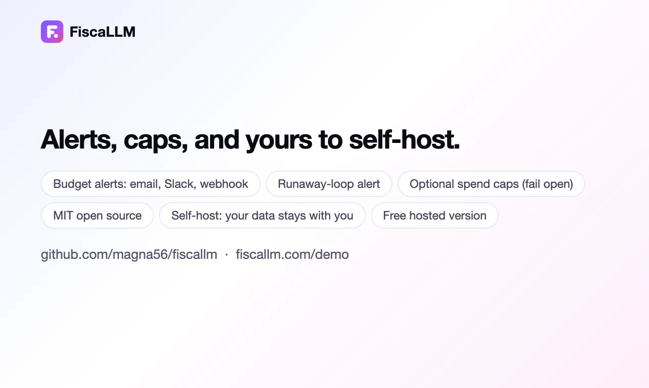 FiscaLLM gallery image
