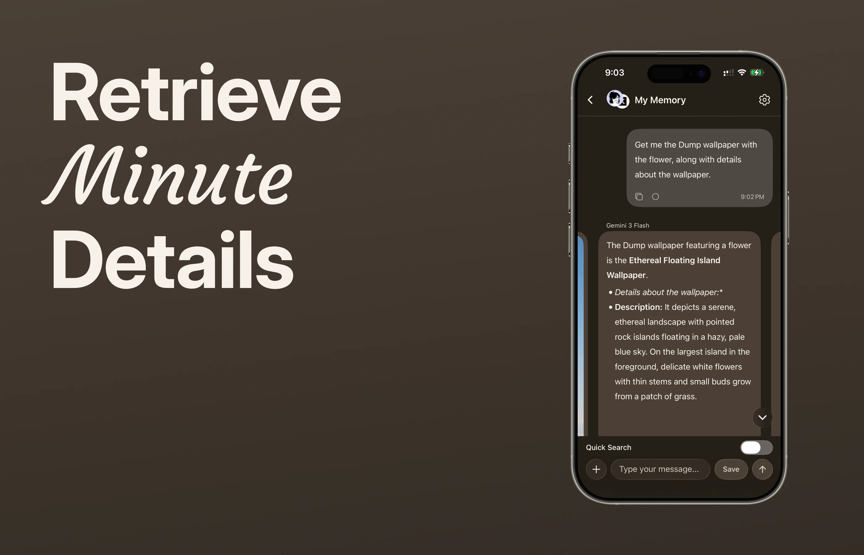 Dump Memory gallery image