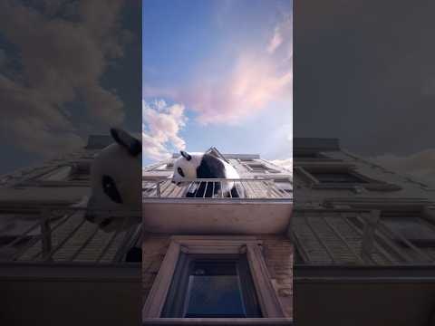 LingoCrush gallery image