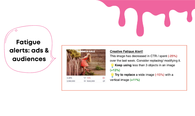 Ad Report by Pudding.ai gallery image