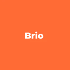 BRIO logo