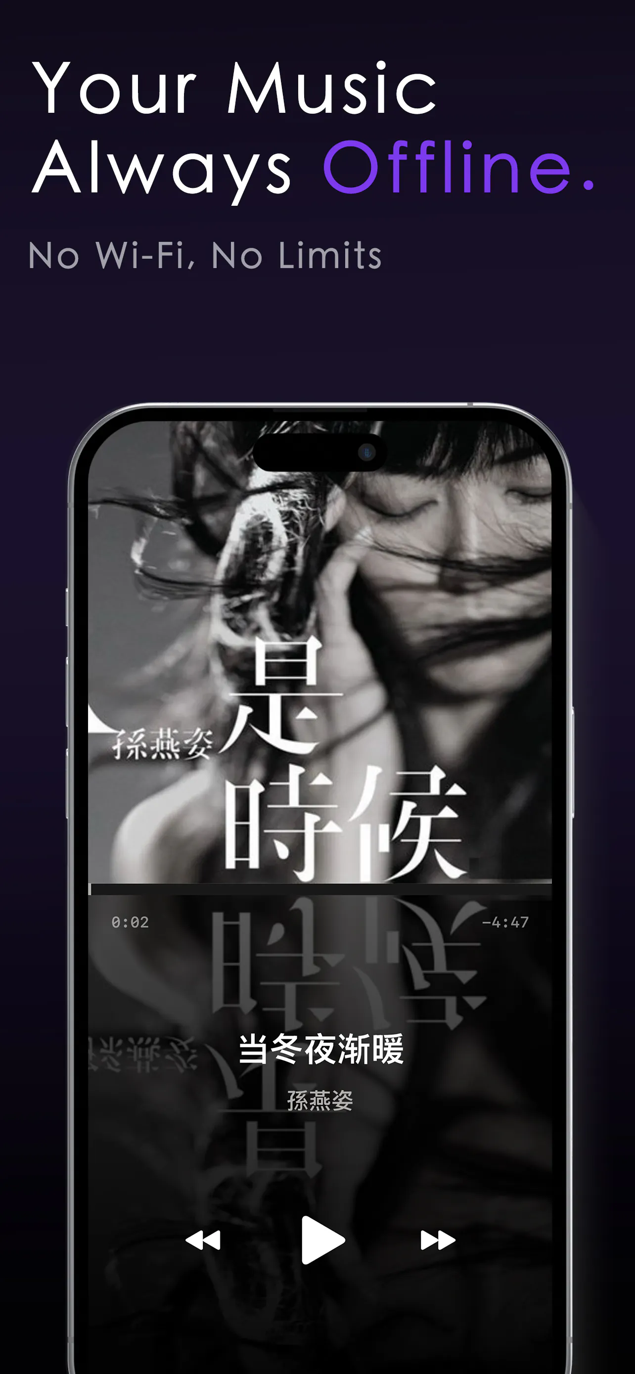 Xtunes-Local Music Player gallery image