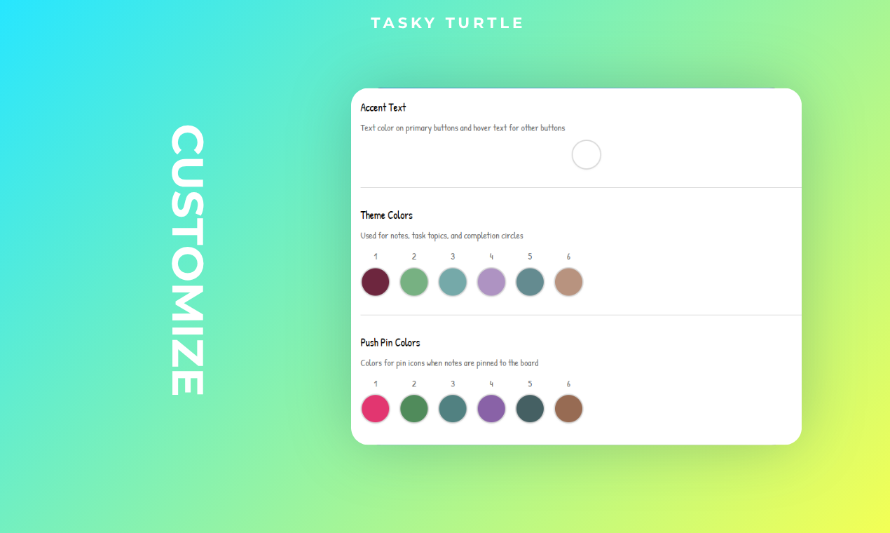 Tasky Turtle gallery image