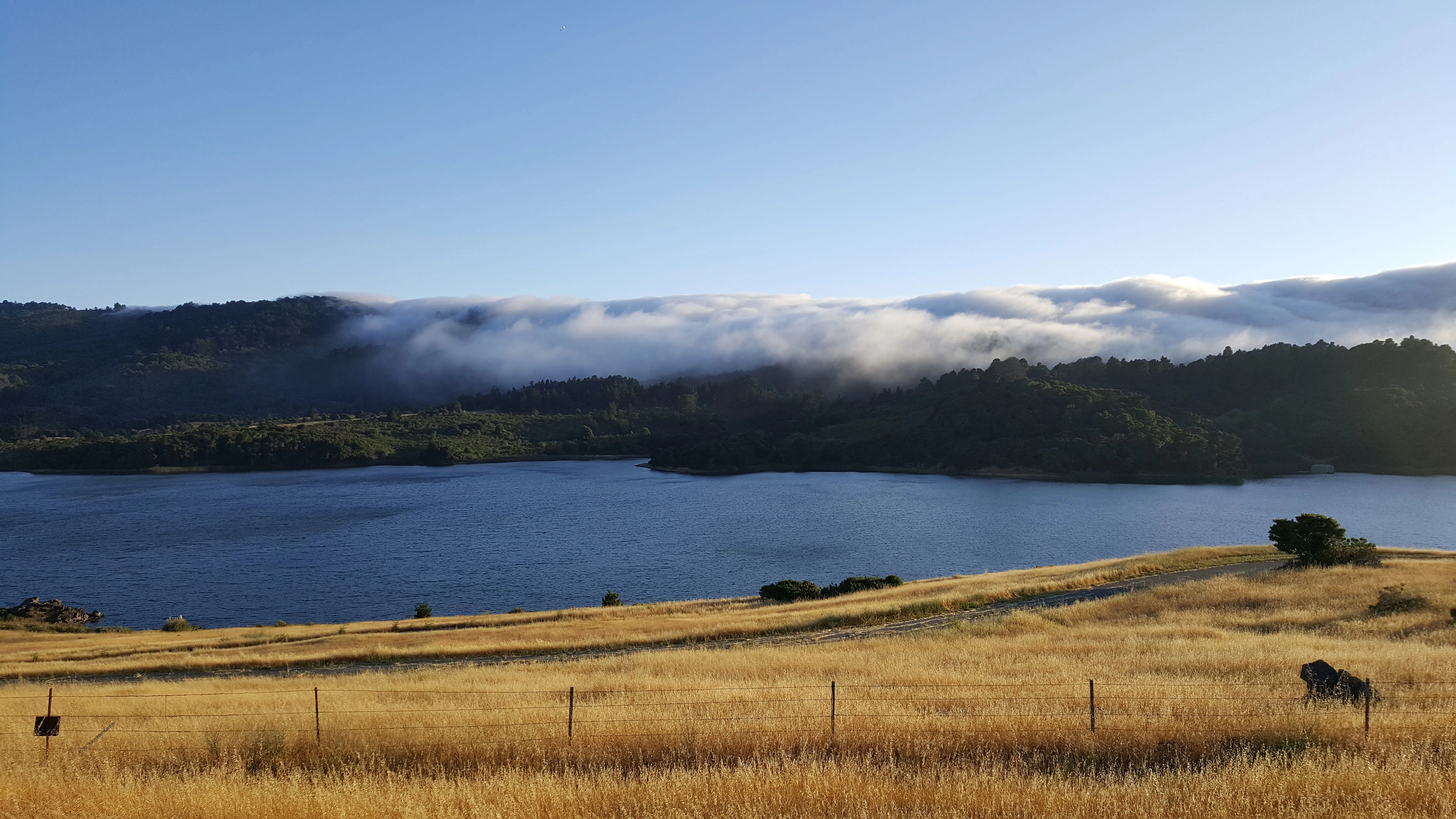 Laduram Vishnoi cover