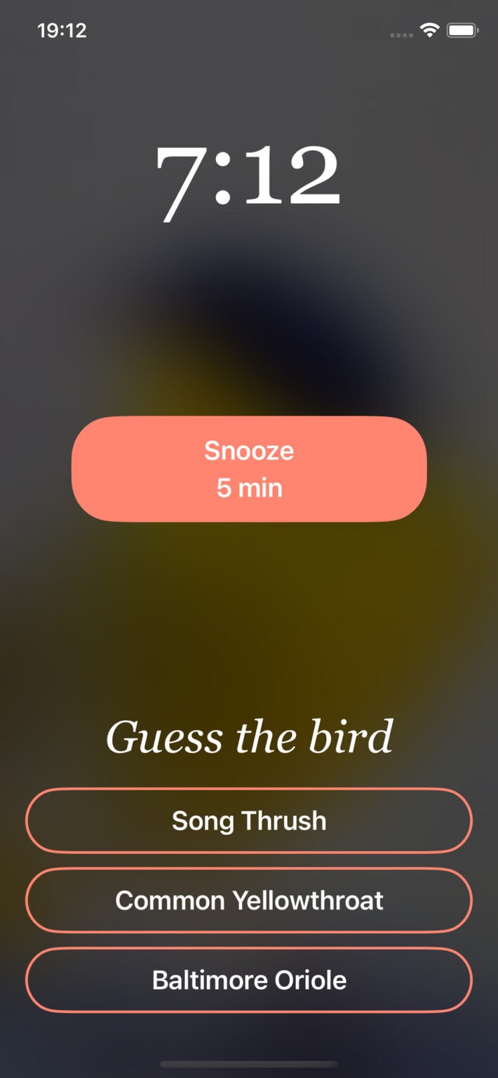 Bird Rise gallery image
