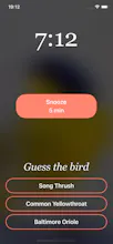 Bird Rise gallery image