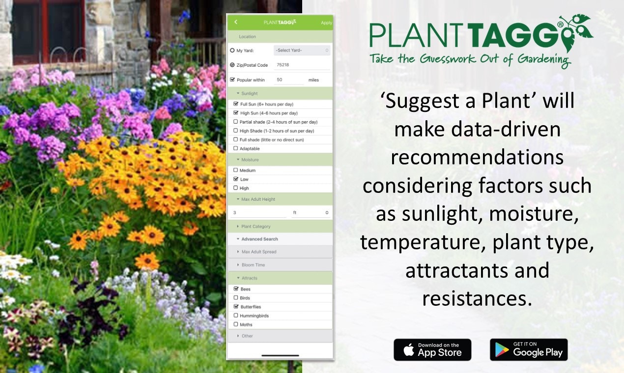 Planttagg - अनुमान को बागवानी से बाहर निकालें मीडिया 4