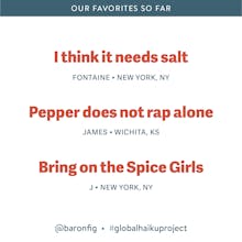 Haiku Project by Baronfig gallery image