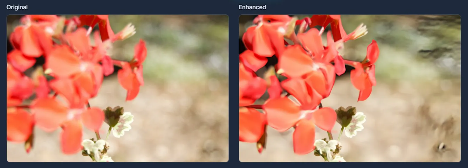 EnhanceCraft - AI Image Toolkit screenshot 18