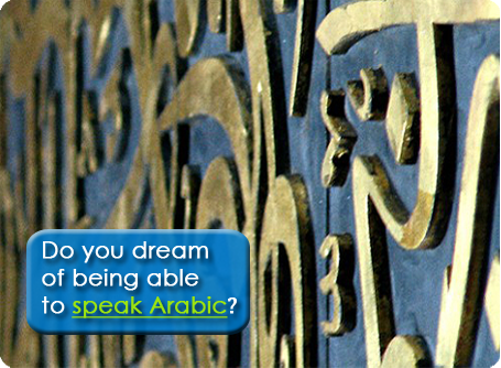 Live Lingua gallery image