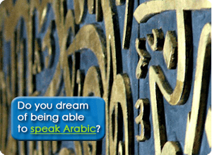 Live Lingua gallery image