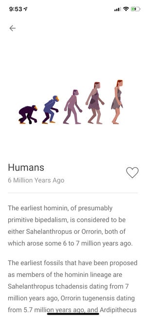The History of Everything Image