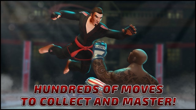 MMA Federation gallery image